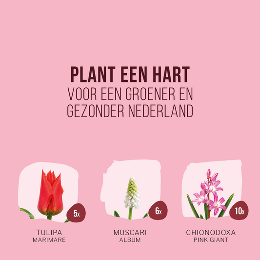 Bloemenhart