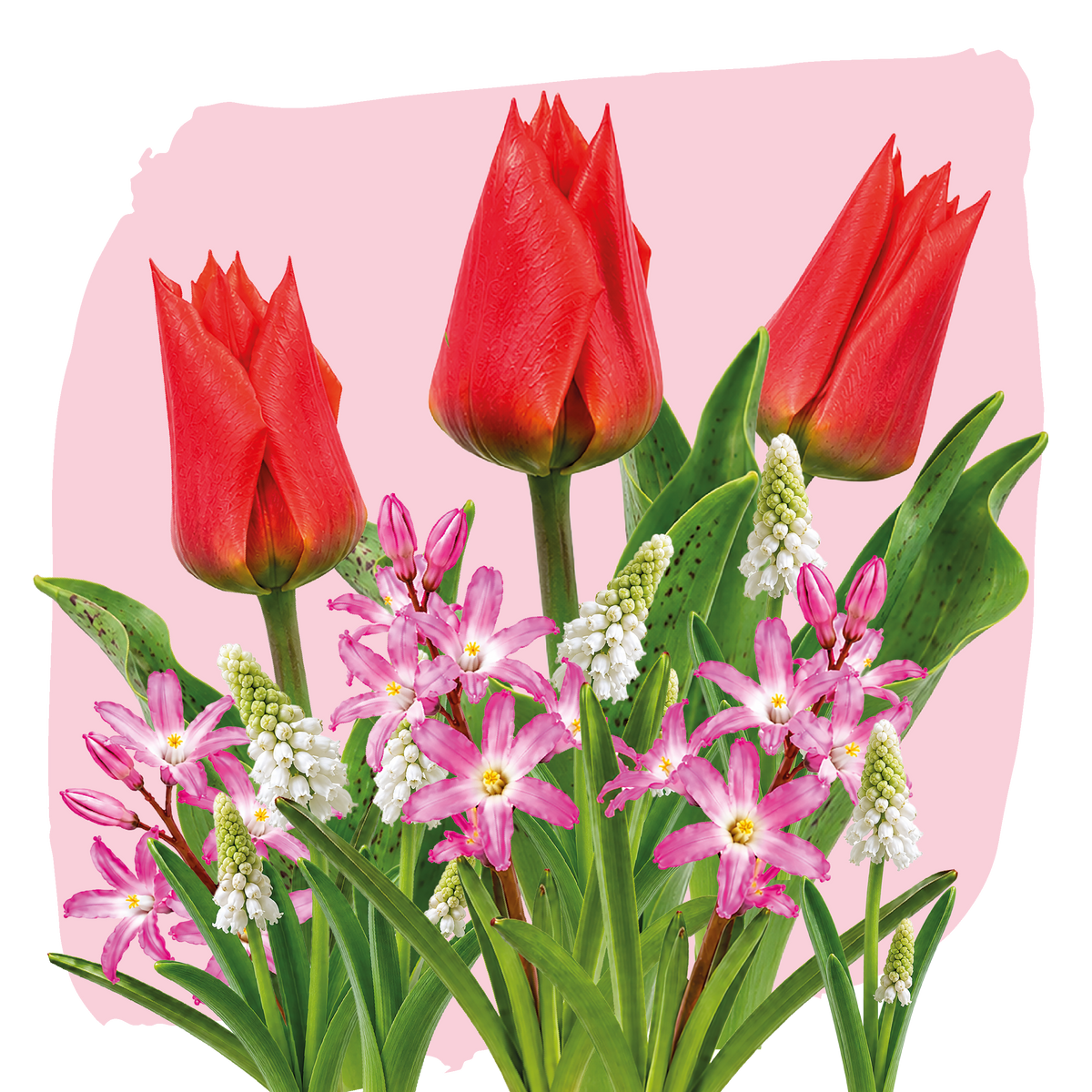 Bloemenhart