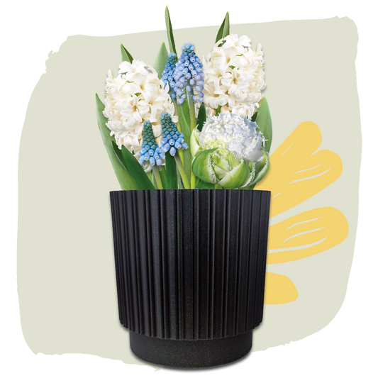 Plant Magic Grow Kit White