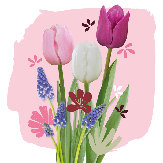 Starterset Bloembollen Pastel