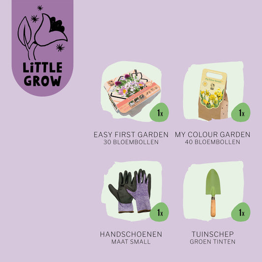 Little Grow | Bloembollenpakket Paars/Geel voor kinderen