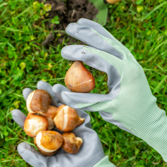 Bulbious tuinhandschoenen