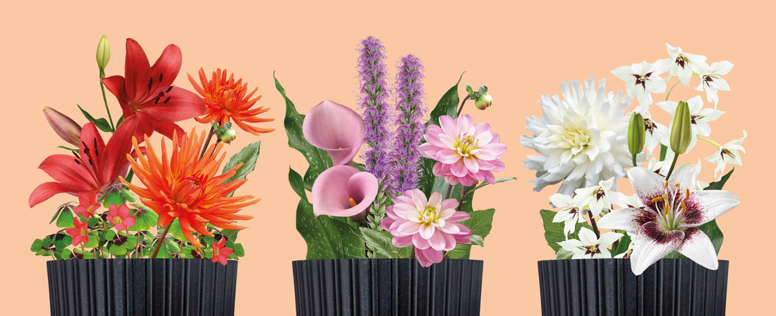 Welke trendkleur past bij jou?