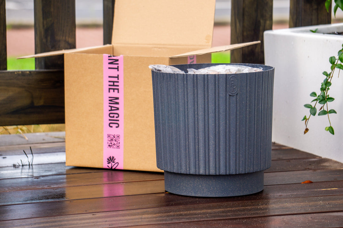 Potten beplanten: maak elke buitenruimte groen