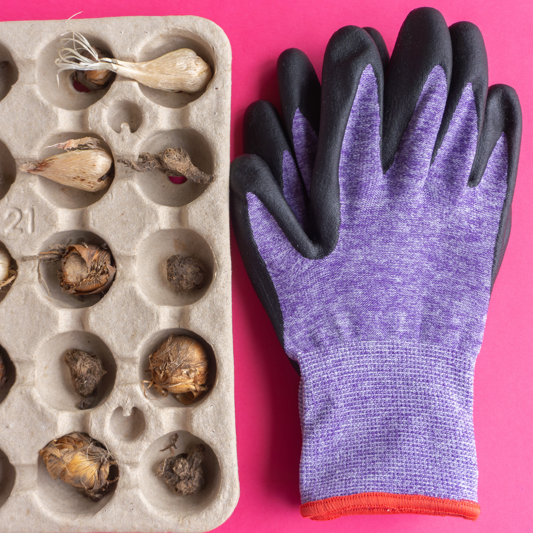 Bulbious handschoenen paars