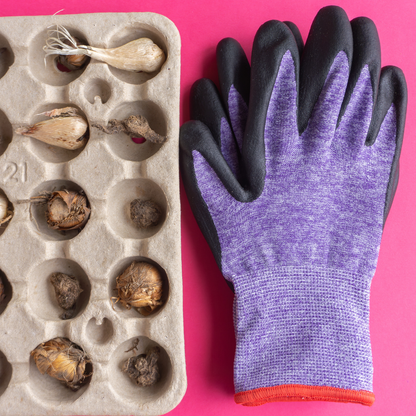 Bulbious handschoenen paars