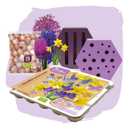 BIO Bijen en Vlinderpakket Paars