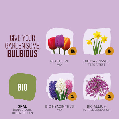 BIO Bijen en Vlinderpakket Paars