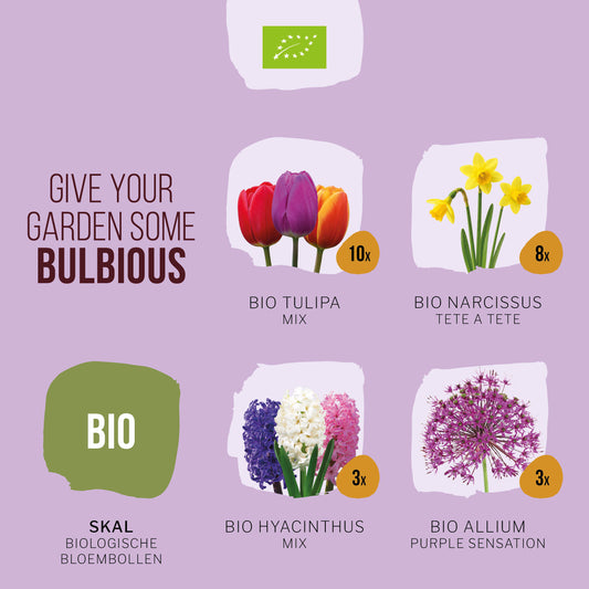 BIO Bijen en Vlinderpakket Paars