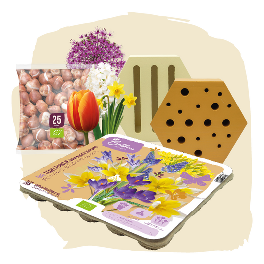 BIO Bijen en Vlinderpakket Geel