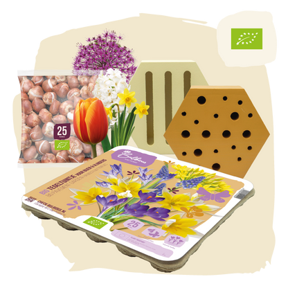 BIO Bijen en Vlinderpakket Geel