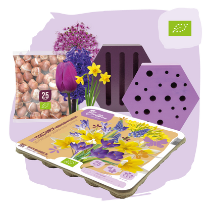 BIO Bijen en Vlinderpakket Paars