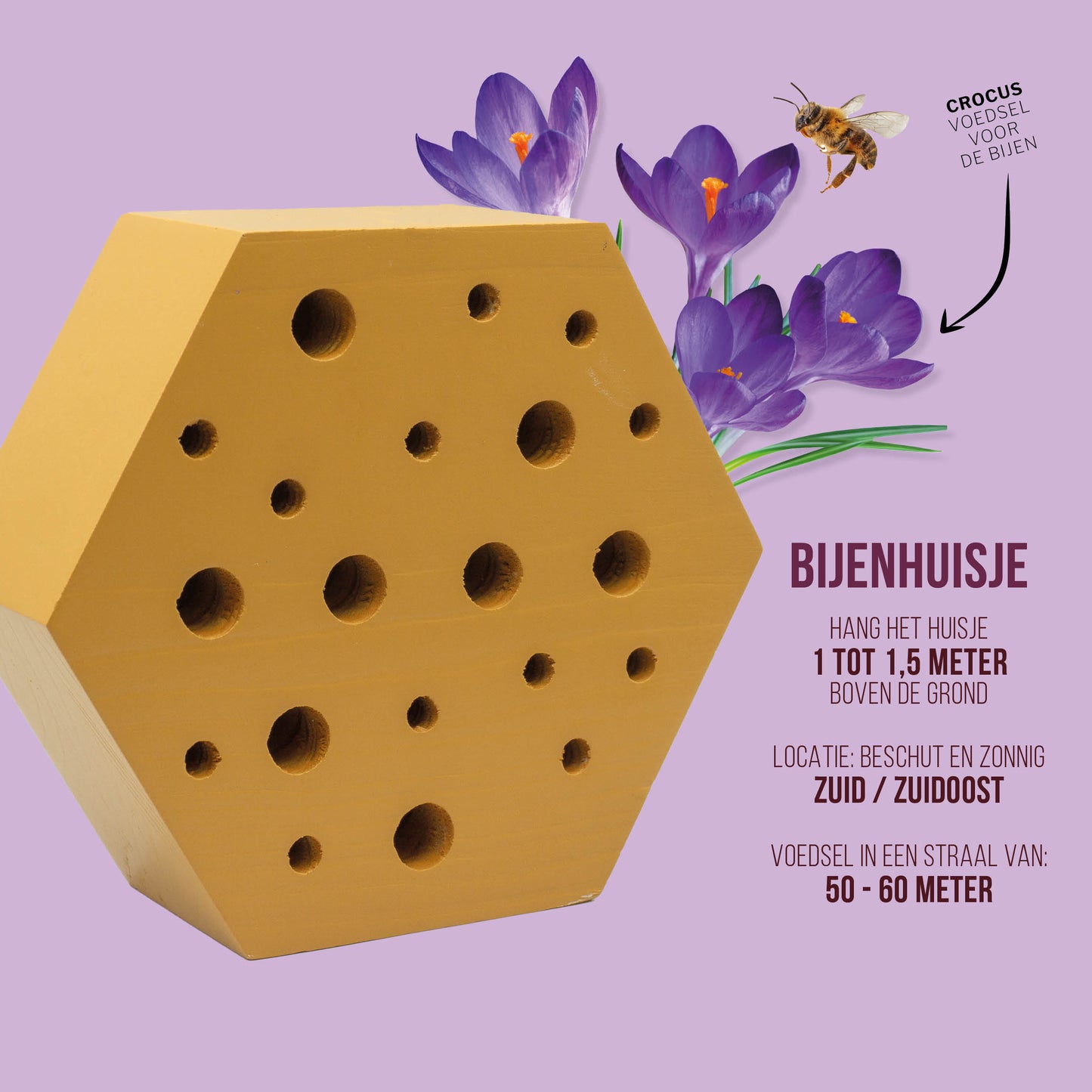 Bijen- & Vlinderhuis Geel | Insectenhotel voor wilde bijen en vlinders