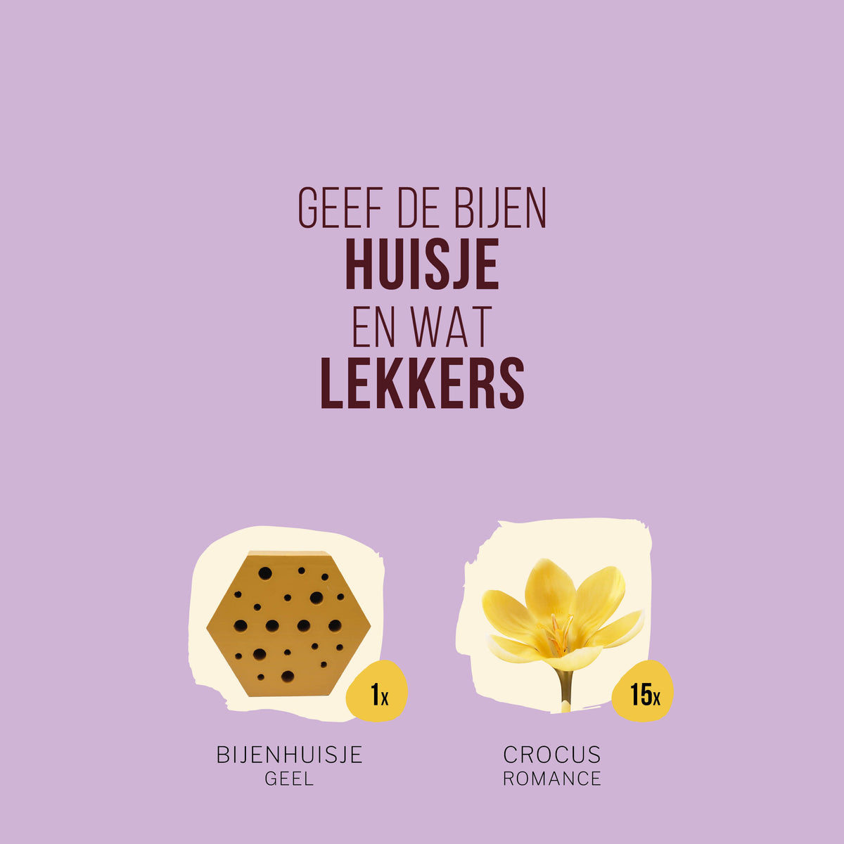 Bijenhuisje met Crocusbollen