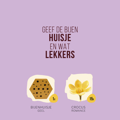 Bijenhuisje met Crocusbollen