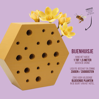 Bijenhuisje met Crocusbollen