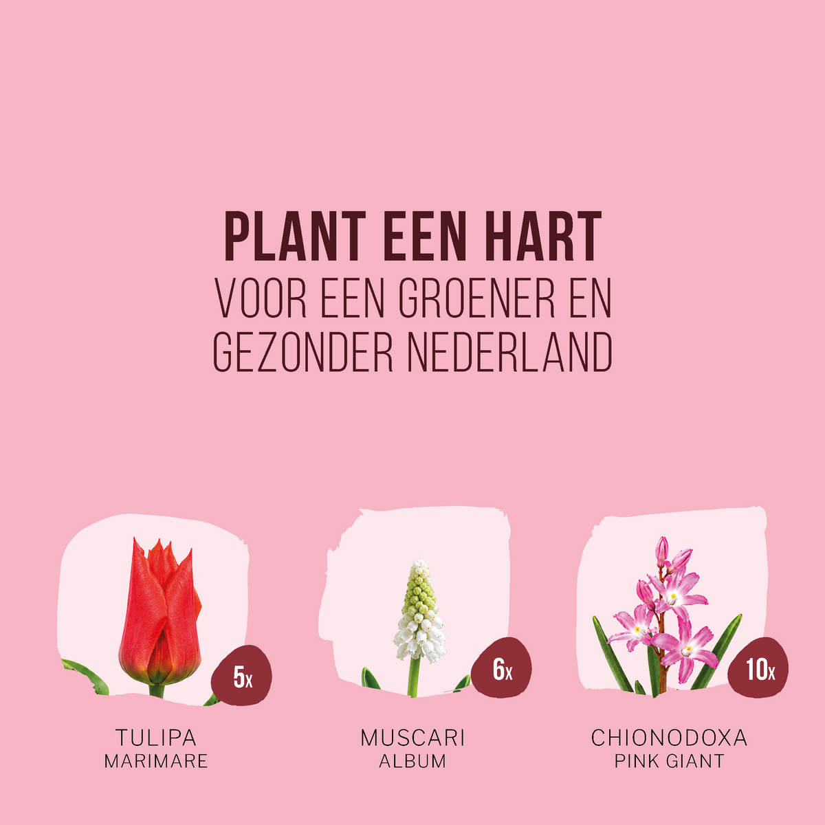 Bloemenhart