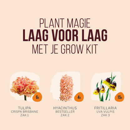 Plant Magic Grow Kit Orange