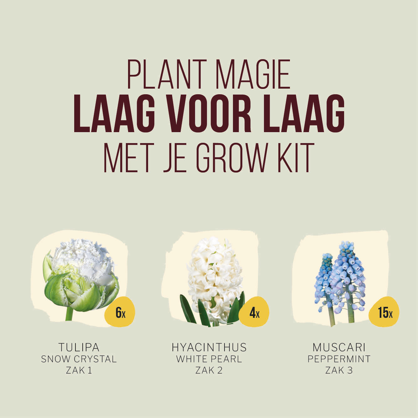 Plant Magic Grow Kit White