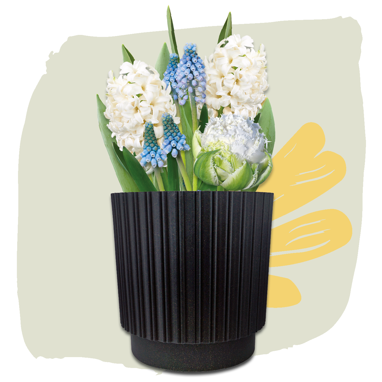Plant Magic Grow Kit White