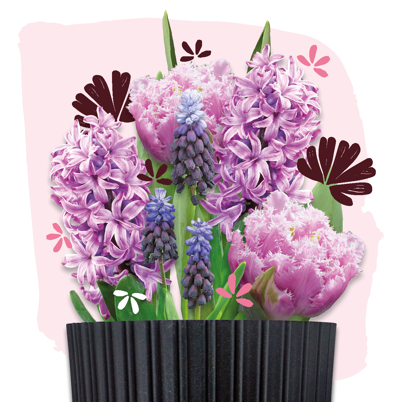 Plant Magic Grow Kit Pink