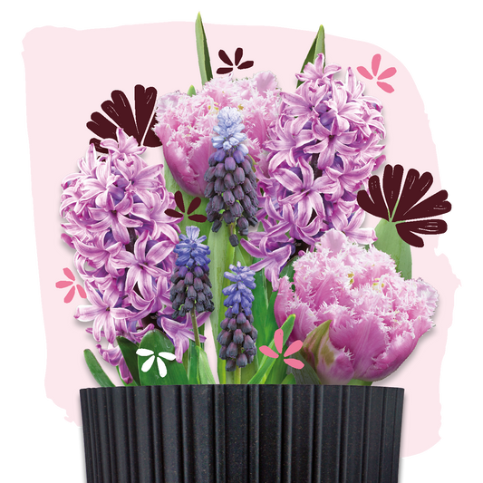 Plant Magic Grow Kit Pink