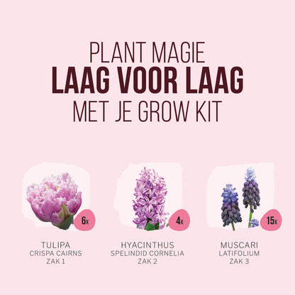 Plant Magic Grow Kit Pink