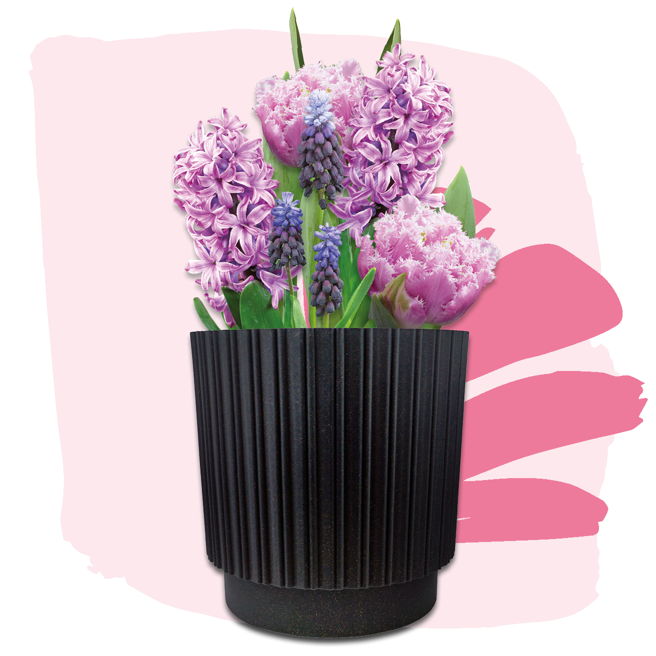 Plant Magic Grow Kit Pink