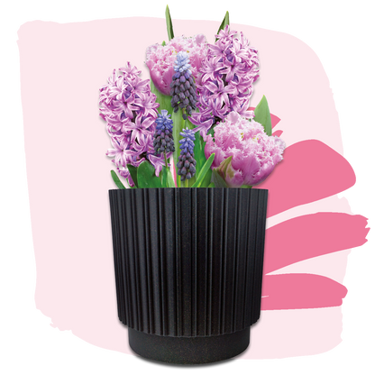Plant Magic Grow Kit Pink