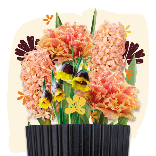 Plant Magic Grow Kit Orange