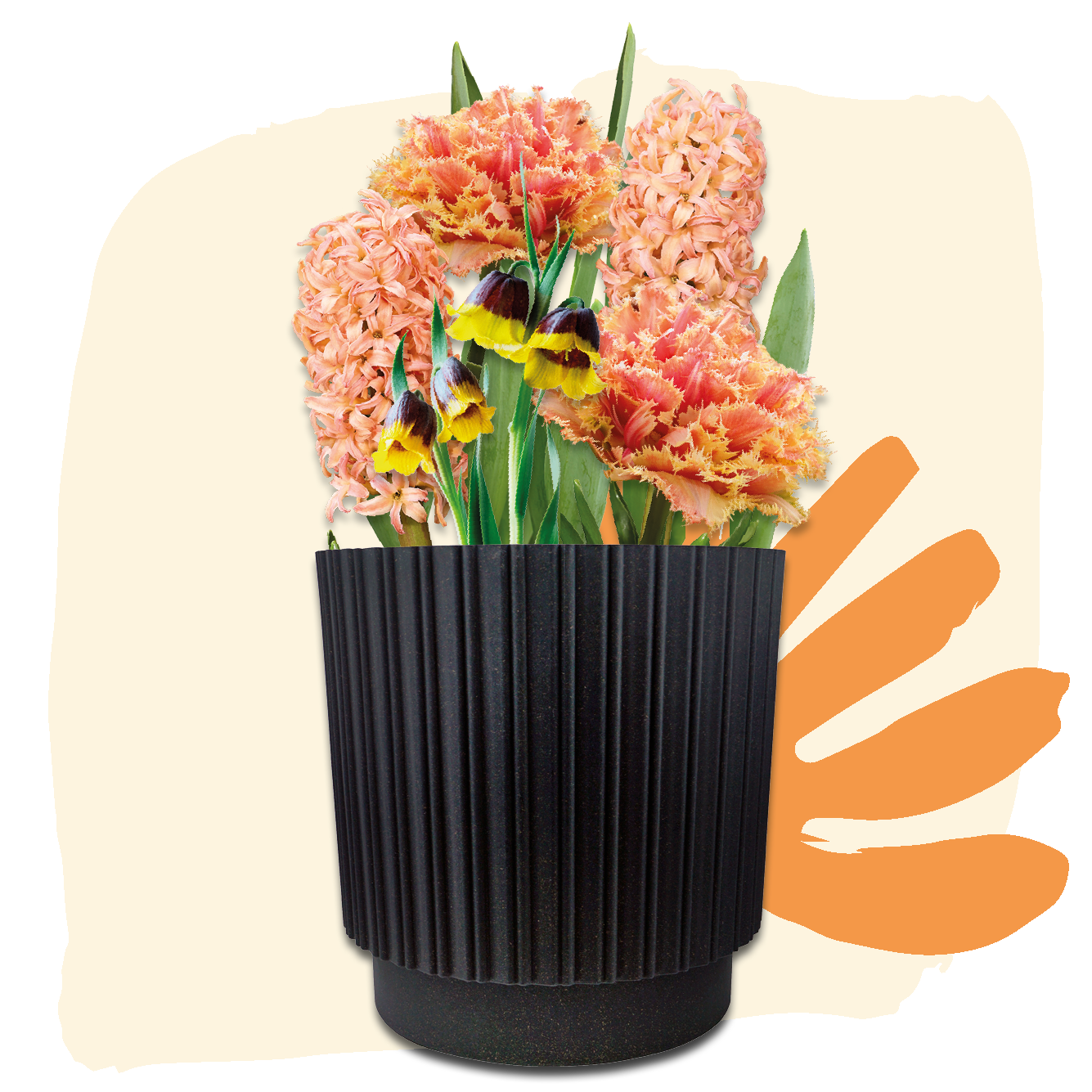 Plant Magic Grow Kit Orange