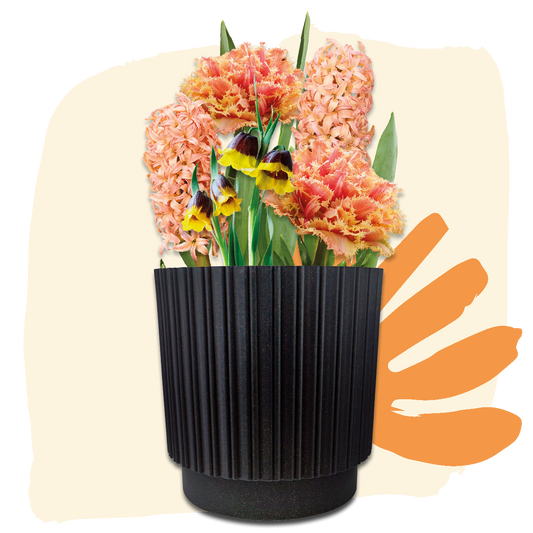Plant Magic Grow Kit Orange