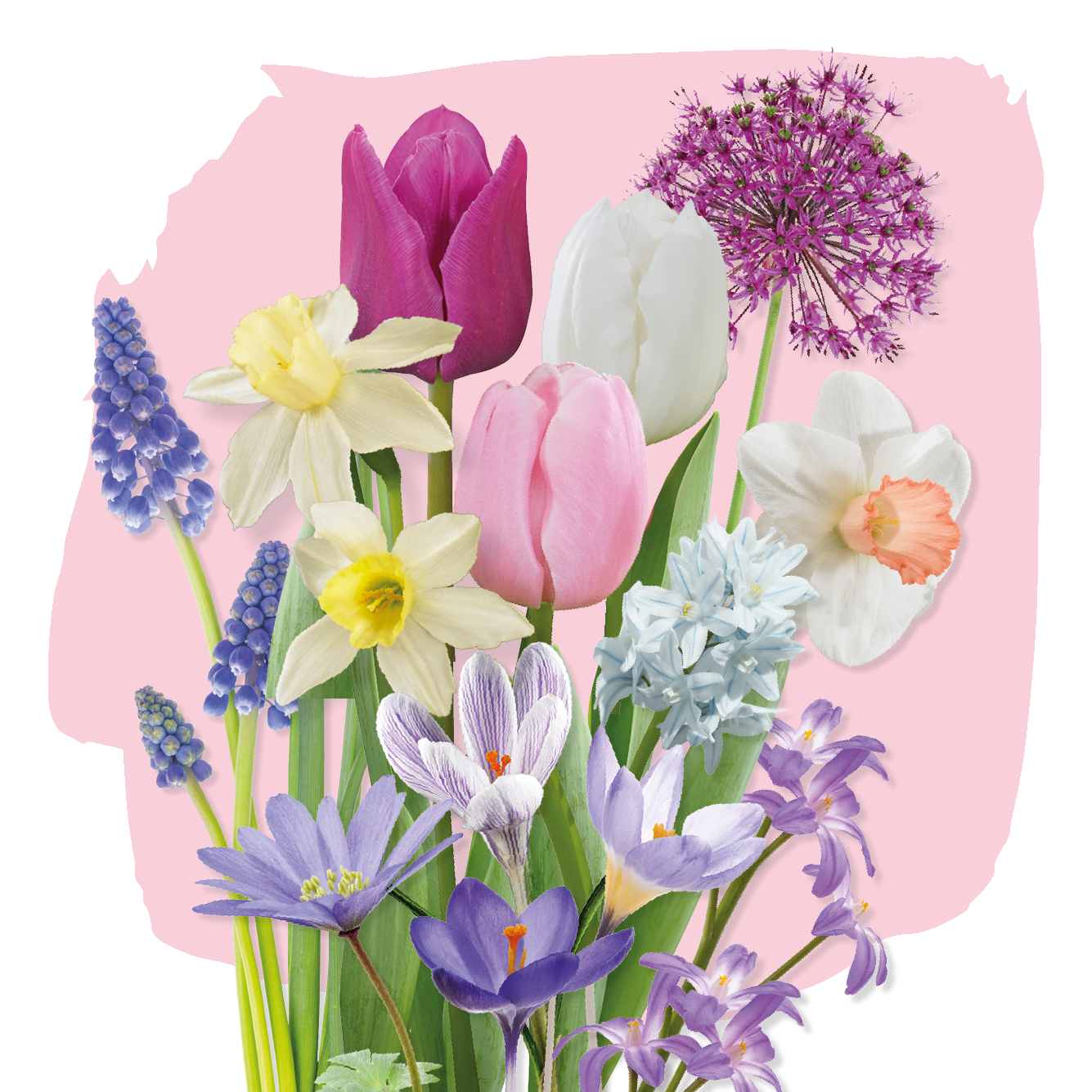 Bloembol pakket Pastel
