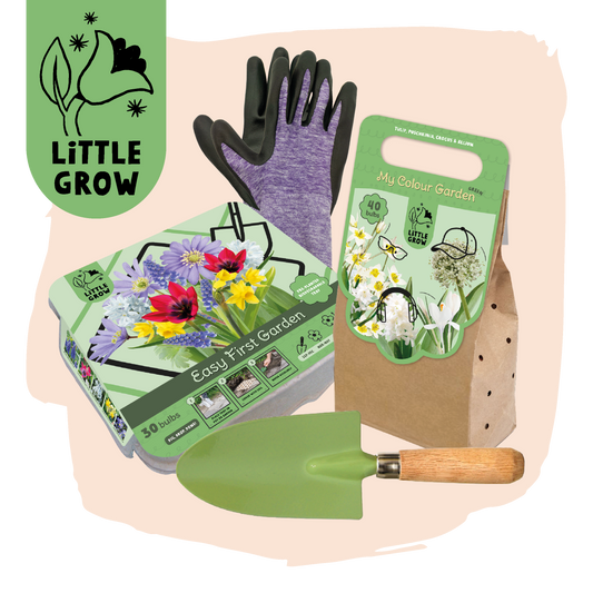 Little Grow | Bloembollenpakket Groen voor kinderen