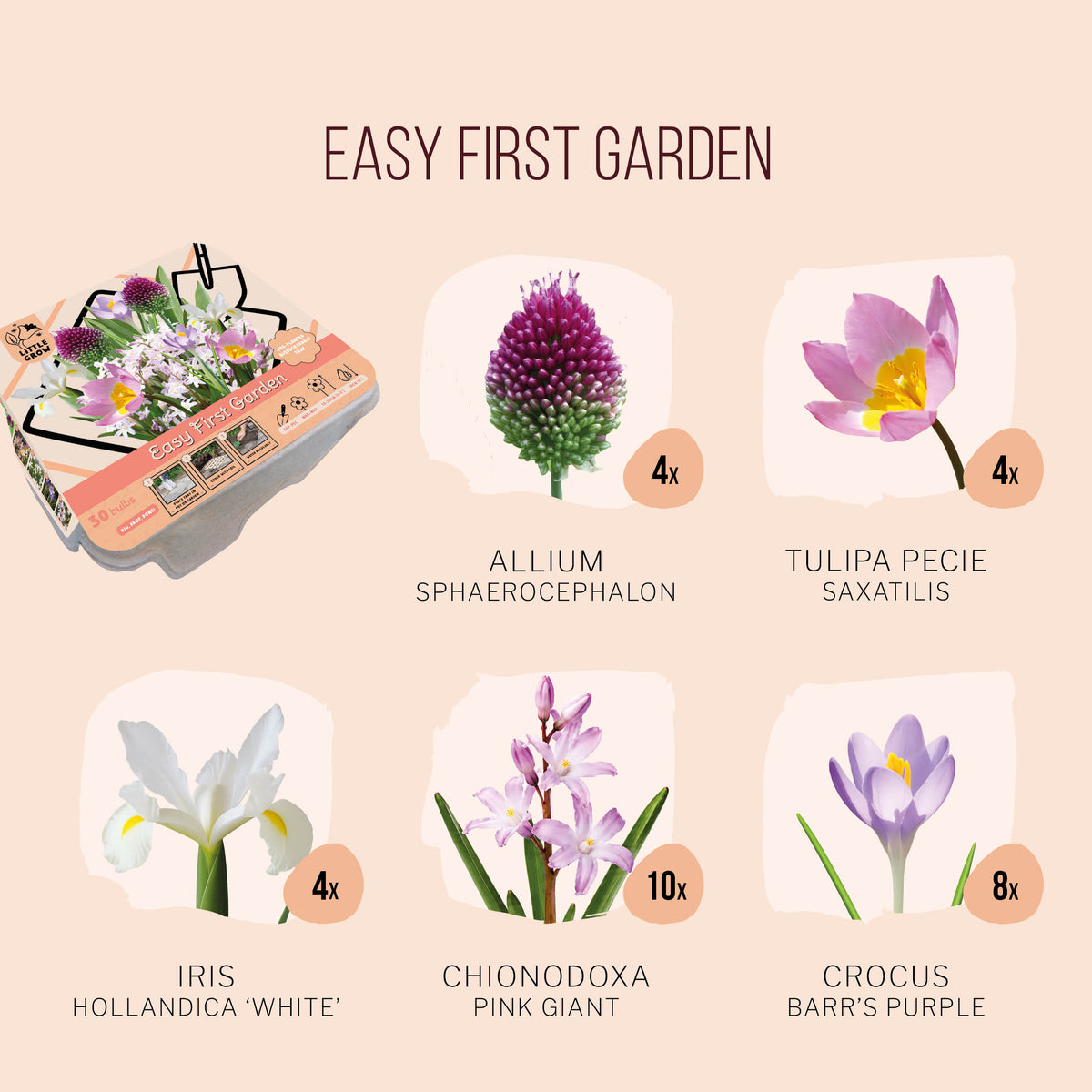 Little Grow | Bloembollenpakket Paars/Geel voor kinderen