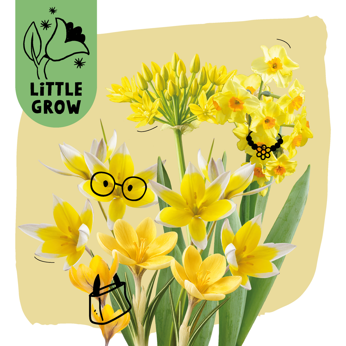Little Grow | Bloembollenpakket Paars/Geel voor kinderen