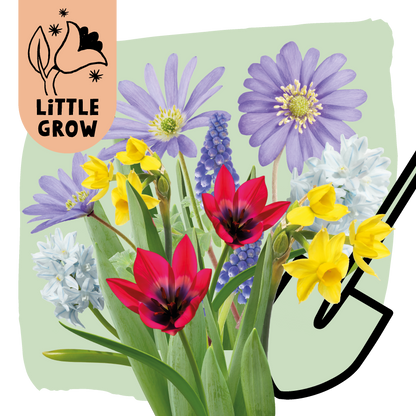 Little Grow | Bloembollenpakket Groen voor kinderen
