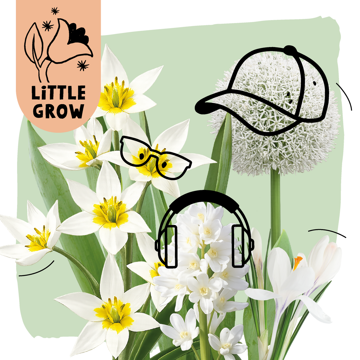Little Grow | Bloembollenpakket Groen voor kinderen