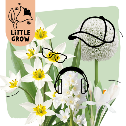 Little Grow | Bloembollenpakket Groen voor kinderen