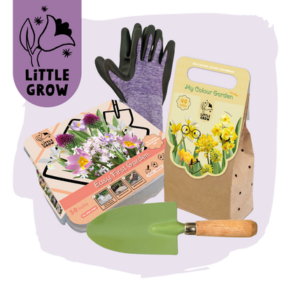 Little Grow | Bloembollenpakket Paars/Geel voor kinderen