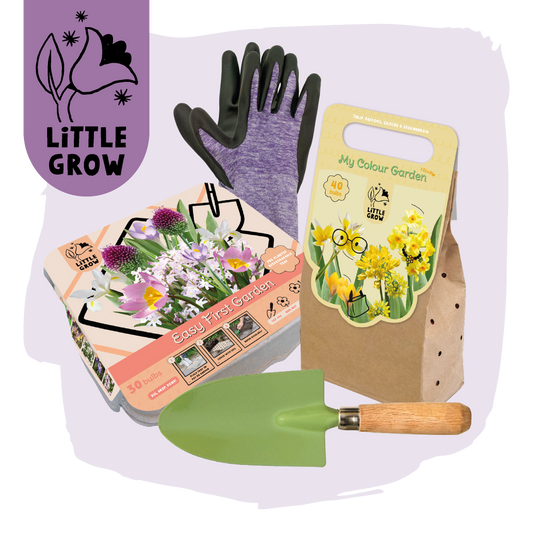 Little Grow | Bloembollenpakket Paars/Geel voor kinderen