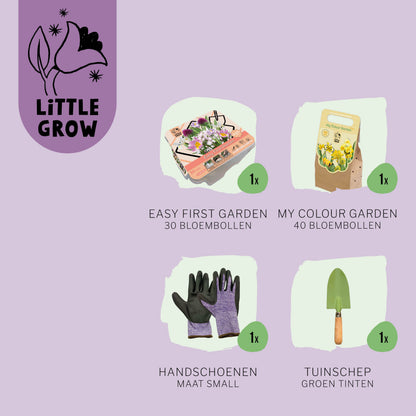 Little Grow | Bloembollenpakket Paars/Geel voor kinderen