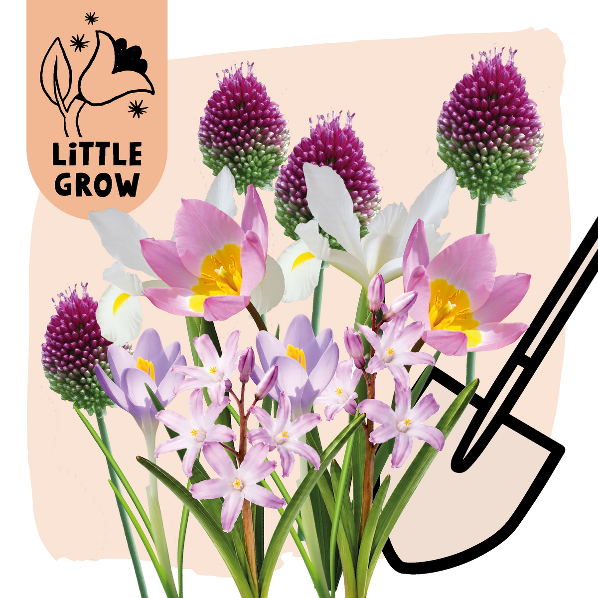 Little Grow | Bloembollenpakket Paars/Geel voor kinderen