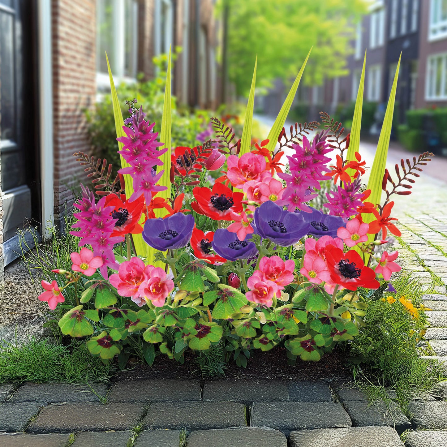 Magic Bloom Gift Tegeltuintje