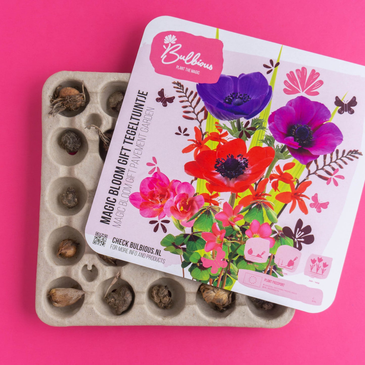 Magic Bloom Gift Tegeltuintje