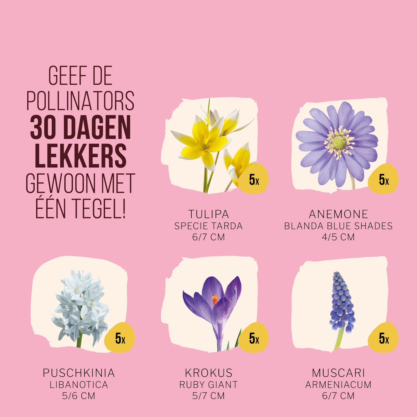 Brievenbus Pollinator Tegeltuintje