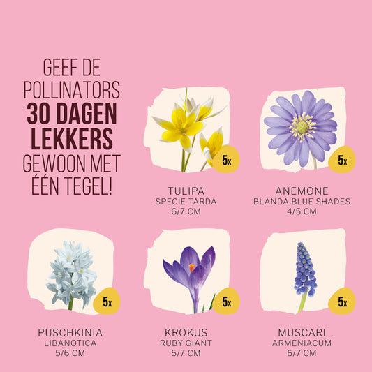 Brievenbus Pollinator Tegeltuintje