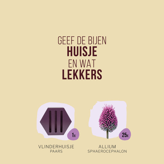 Vlinderhuisje met Alliumbollen