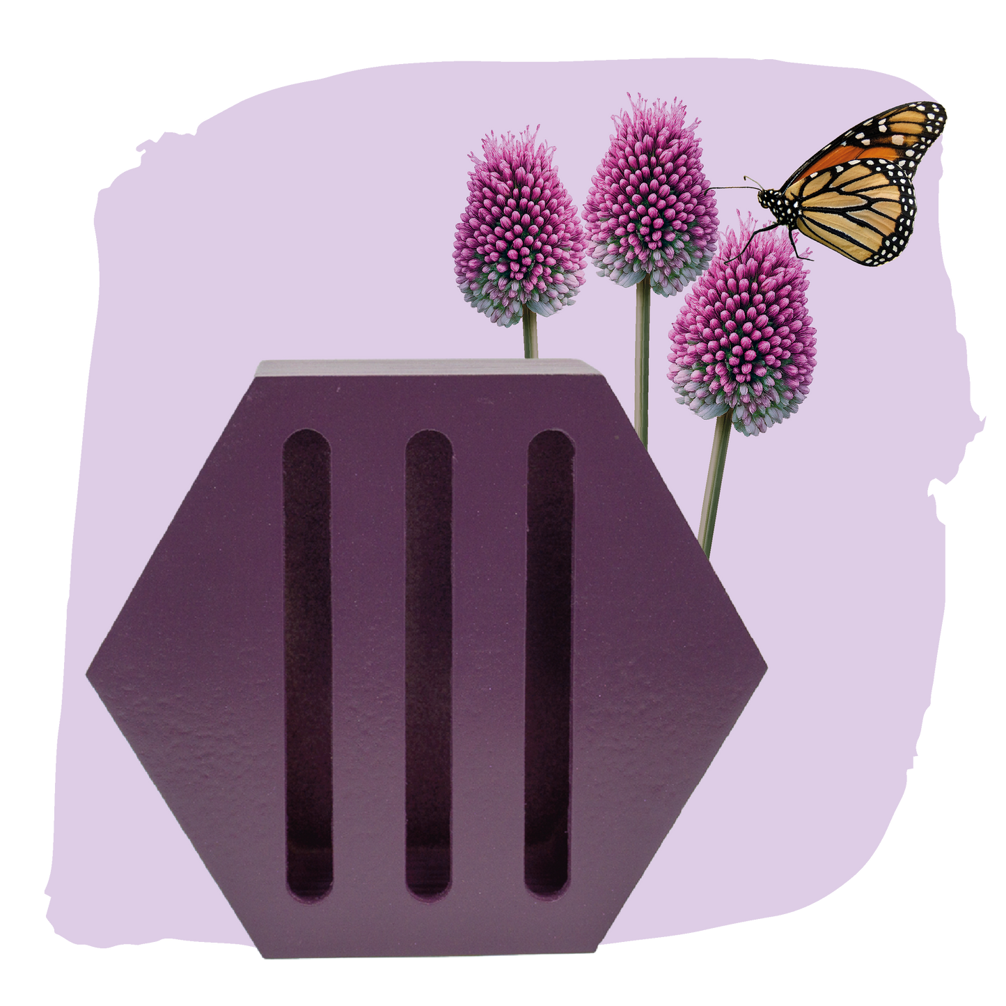 Vlinderhuisje met Alliumbollen
