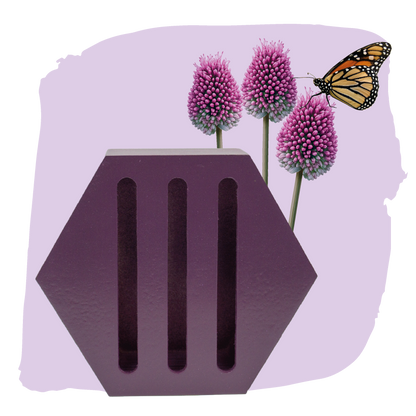 Vlinderhuisje met Alliumbollen